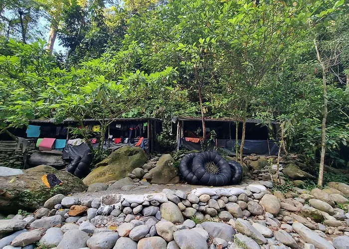 Lucky Bamboo\'Bungalows-Resto And Orangutan Jungle Trekking Tours