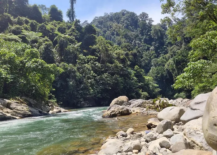 Lucky Bamboo\'Bungalows-Resto And Orangutan Jungle Trekking Tours