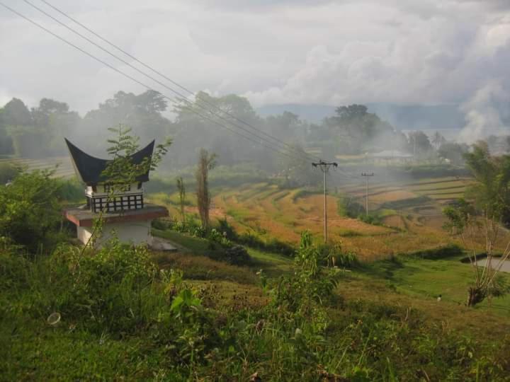 Lucky Bamboo'bungalows-resto And Orangutan Jungle Trekking Tours Country house Bukit Lawang