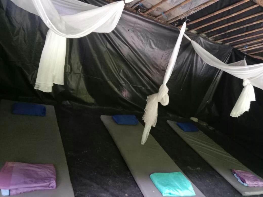 Lucky Bamboo'bungalows-resto And Orangutan Jungle Trekking Tours