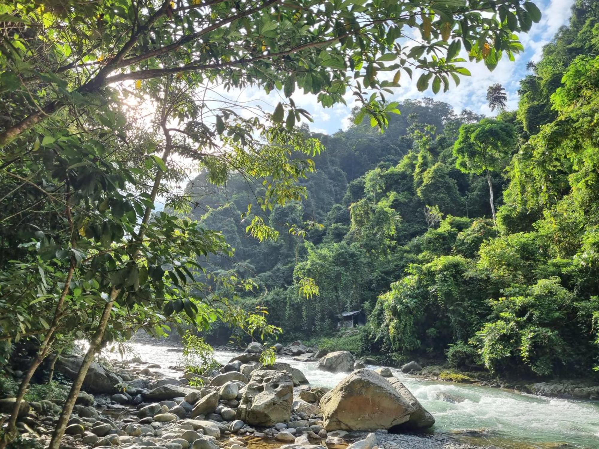 Lucky Bamboo'bungalows-resto And Orangutan Jungle Trekking Tours Country house *