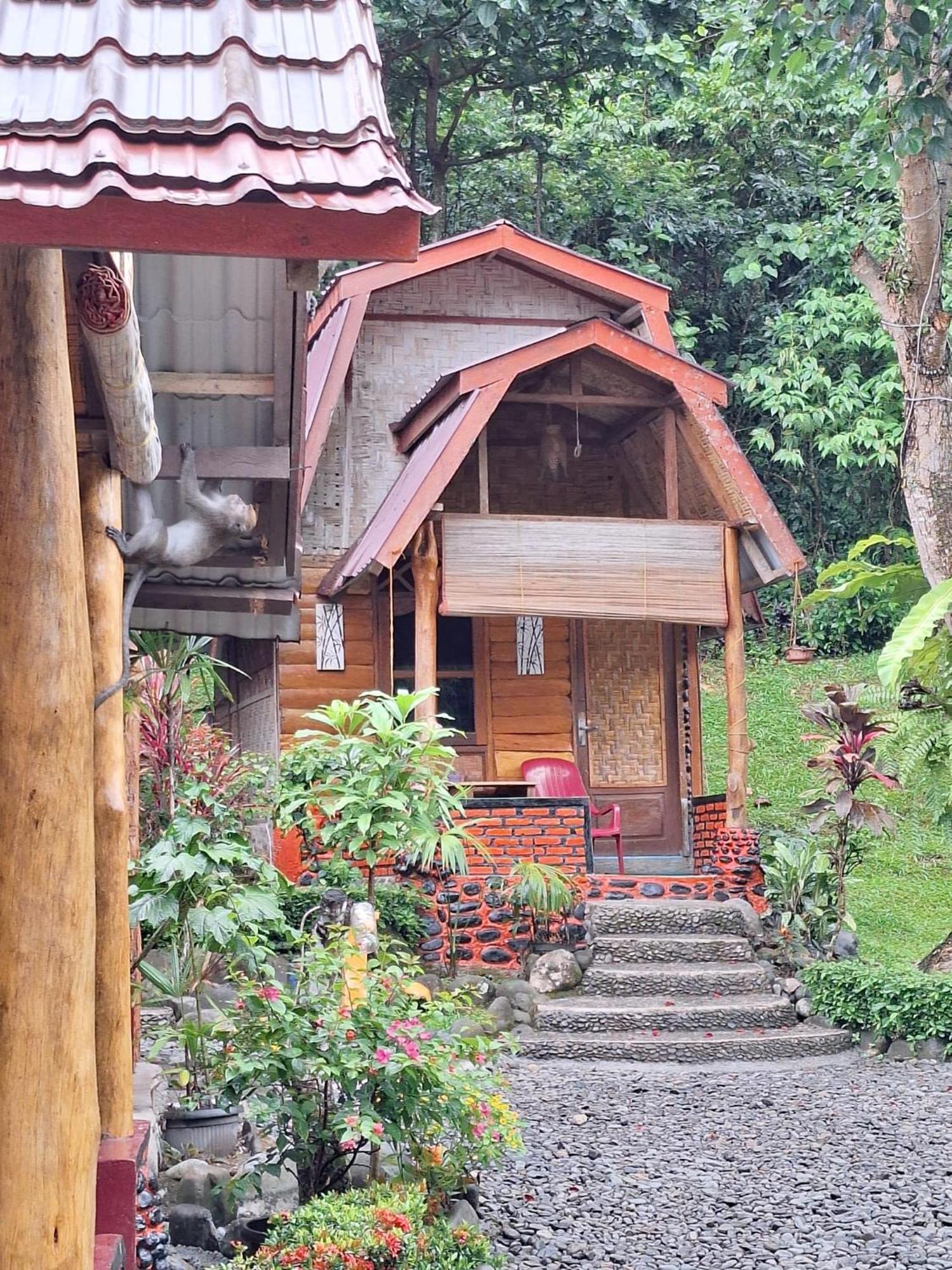 Lucky Bamboo'bungalows-resto And Orangutan Jungle Trekking Tours
