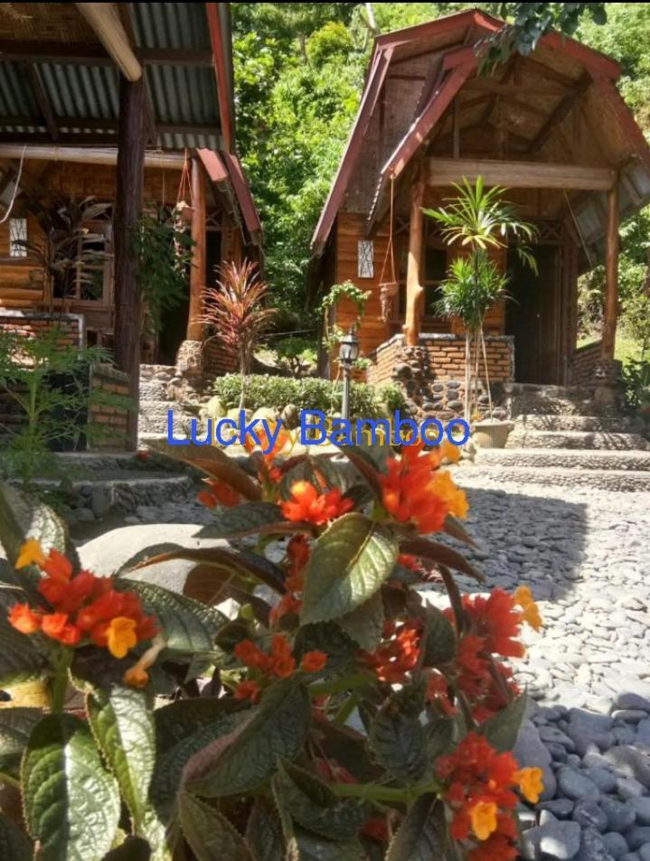 Lucky Bamboo'bungalows-resto And Orangutan Jungle Trekking Tours *